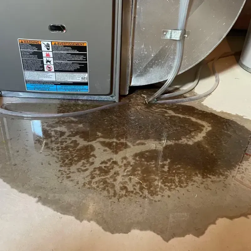 Appliance Leak Cleanup in Riverview, MI